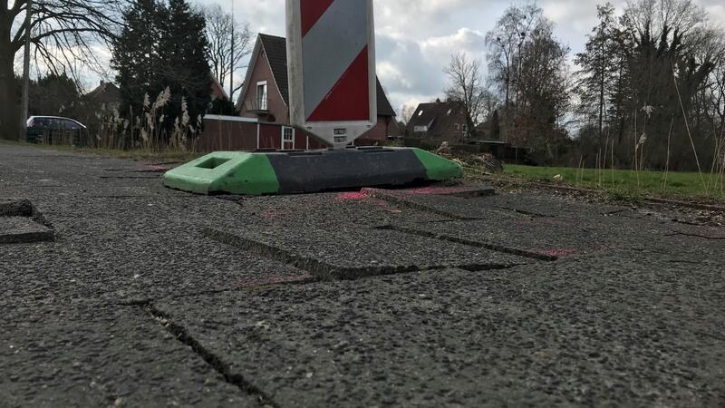 Eine Wurzel hatte in der Landesbrücker Straße in Freiburg Gehwegplatten hochgedrückt.