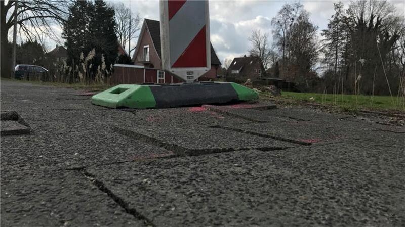 Eine Wurzel hatte in der Landesbrücker Straße in Freiburg Gehwegplatten hochgedrückt.