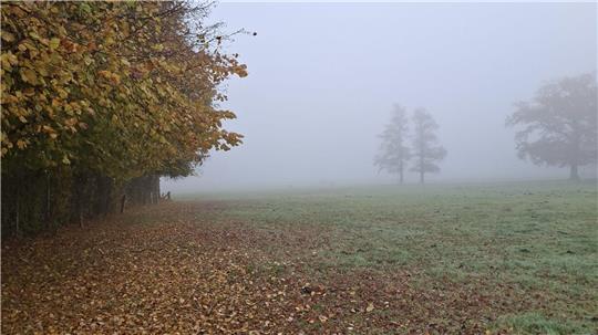 Eine amtliche Warnung vor Nebel gibt es aktuell für den Landkreis. Hier die Sichtweite am Montag am Brunnenweg am Hohenwedel in Stade.
