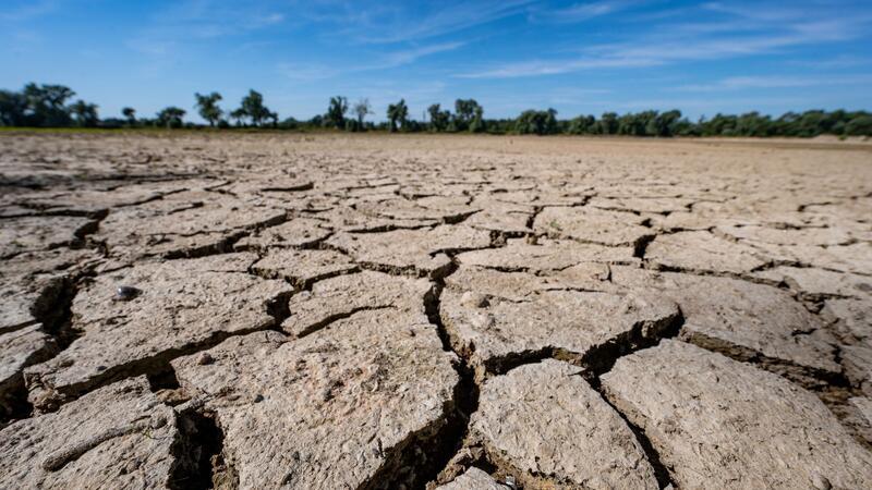 Klimakonferenz in Dubai - Was auf dem Spiel steht Eine ausgetrocknete Sandbank an der Niedrigwasser führenden Donau.