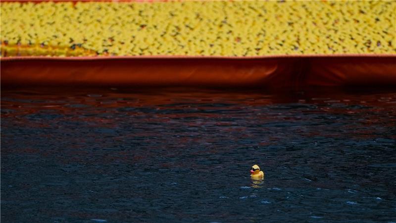 Bilder des Tages Eine einzelne Ente schwimmt alleine außerhalb der Absperrung, nachdem über 80.000 Gummienten im Rahmen des Chicago Ducky Derby zugunsten von Special Olympics Illinois in den Chicago River geworfen wurden.