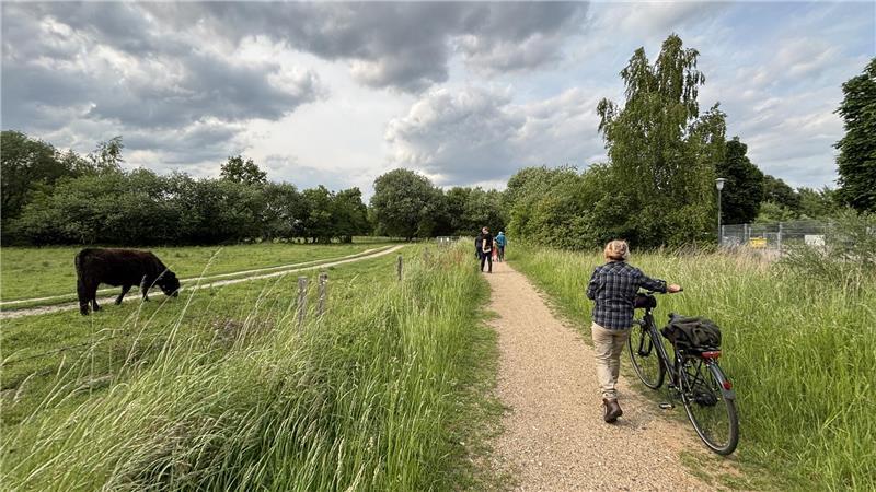 Eine fünf Hektar große Fläche im Landschaftsschutzgebiet, auf der Galloway-Rinder weiden, könnte zur Gewerbefläche werden. Das wollen die Grünen verhindern.