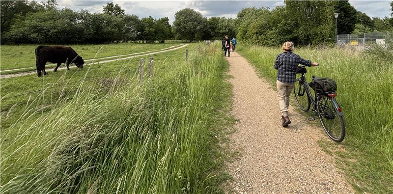 Eine fünf Hektar große Fläche im Landschaftsschutzgebiet, auf der Galloway-Rinder weiden, könnte zur Gewerbefläche werden.