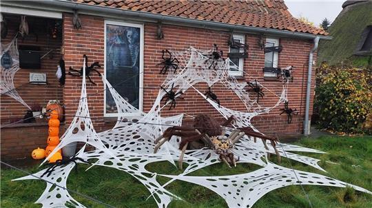 Eine ganze Spinnenarmada bevölkert das Spukhaus am Asseler Deich.
