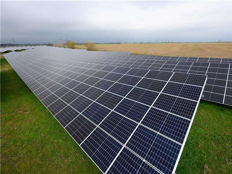 Grüne attackieren Buxtehudes Bürgermeisterin Eine große Freiflächen-Photovoltaikanlage gibt es in Buxtehude noch nicht. Eine Initiative aus Dammhausen will das schnell ändern. Foto: dpa