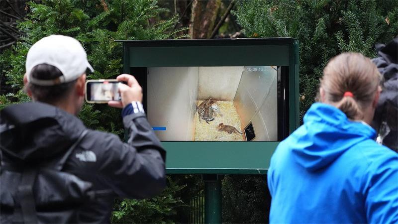 Eine in der Box installierte Kamera zeigt die Jungtiere und ihre Mutter.
