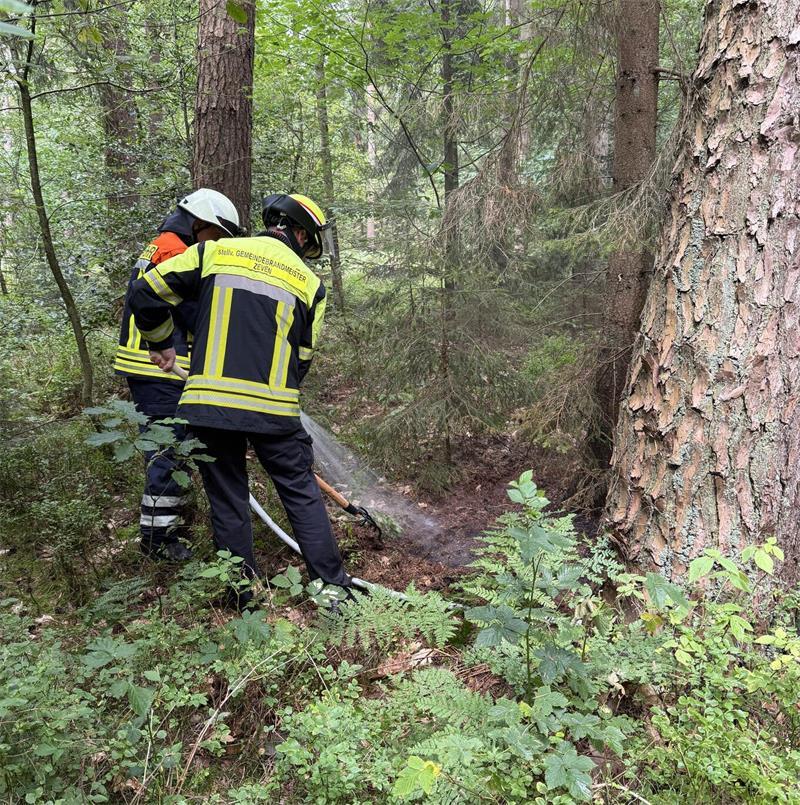 Brände: Traktor am Deich auf Krautsand in Flammen Eine kleine Fläche neben einem Waldweg waren in Brand geraten.