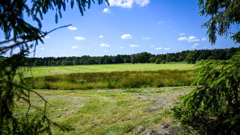 Kinderleiche in Behrste: Polizei wartet auf Obduktionsergebnis Eine teilweise abgemähte Wiese am Fundeort einer Kinderleiche im Landkreis Stade. Über zwei Monate nach dem Verschwinden des sechsjährigen Arian hat ein Landwirt im Norden Niedersachsens bei Mäharbeiten eine Kinderleiche gefunden.