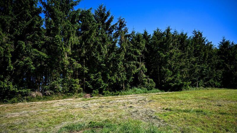 Der Fall Arian: Eine vergebliche Suche voller Hoffnung Eine teilweise abgemähte Wiese am Fundeort einer Kinderleiche im Landkreis Stade.
