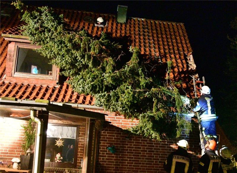 Eine umgefallene Tanne zerstört das Dach eines Wohnhauses. Foto: Beneke
