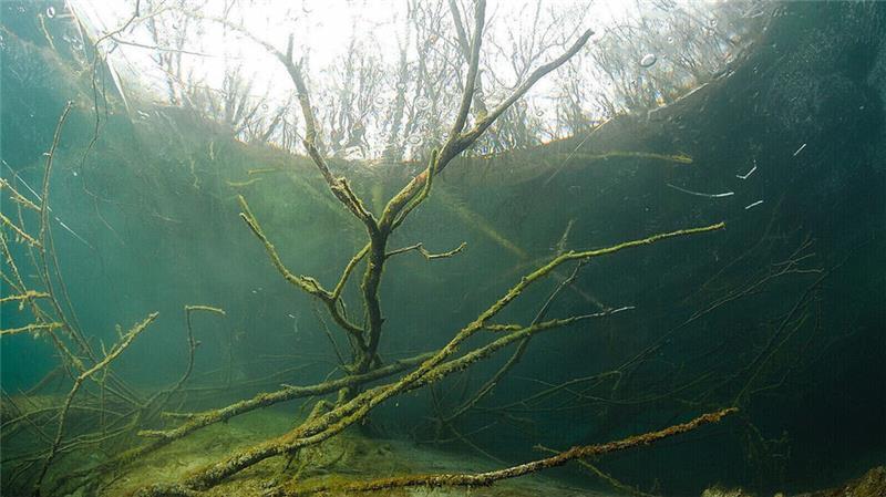 Tauchunfall am Kreidesee? Notruf sorgt für Großeinsatz in Hemmoor Eine vermeintlich vermisste Taucherin am Kreidesee sorgte für einen groß angelegten Rettungseinsatz.