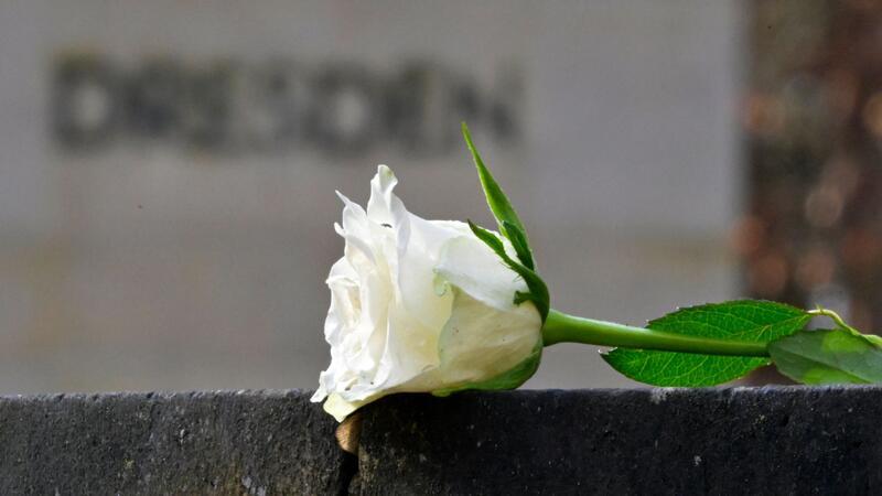 Eine weiße Rose als Symbol der Erinnerung auf dem Heidefriedhof.