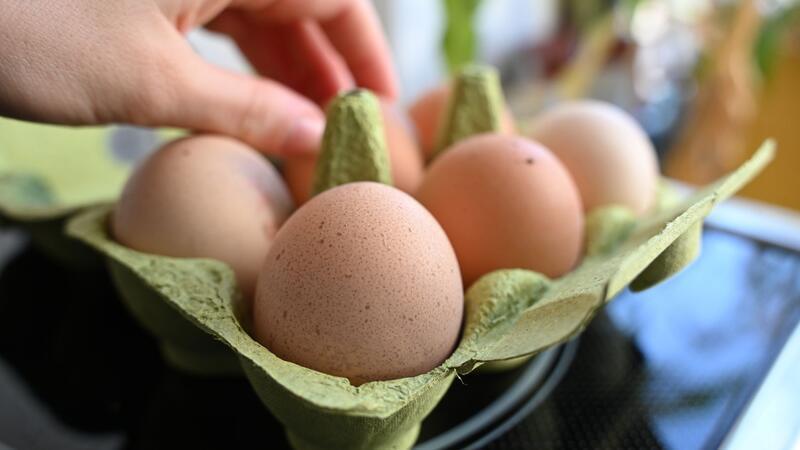 Einen Notstand bei der Eier-Versorgung gibt es nicht - aber Lücken in den Regalen der Händler. (Symbolbild)
