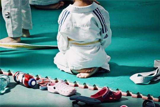Einen besonderen Judo-Lehrgang bietet der TuS Harsefeld an. Foto: Pixabay