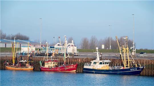 Einen blauen Himmel werden am Wochenende wohl viele Menschen in Niedersachsen sehen.