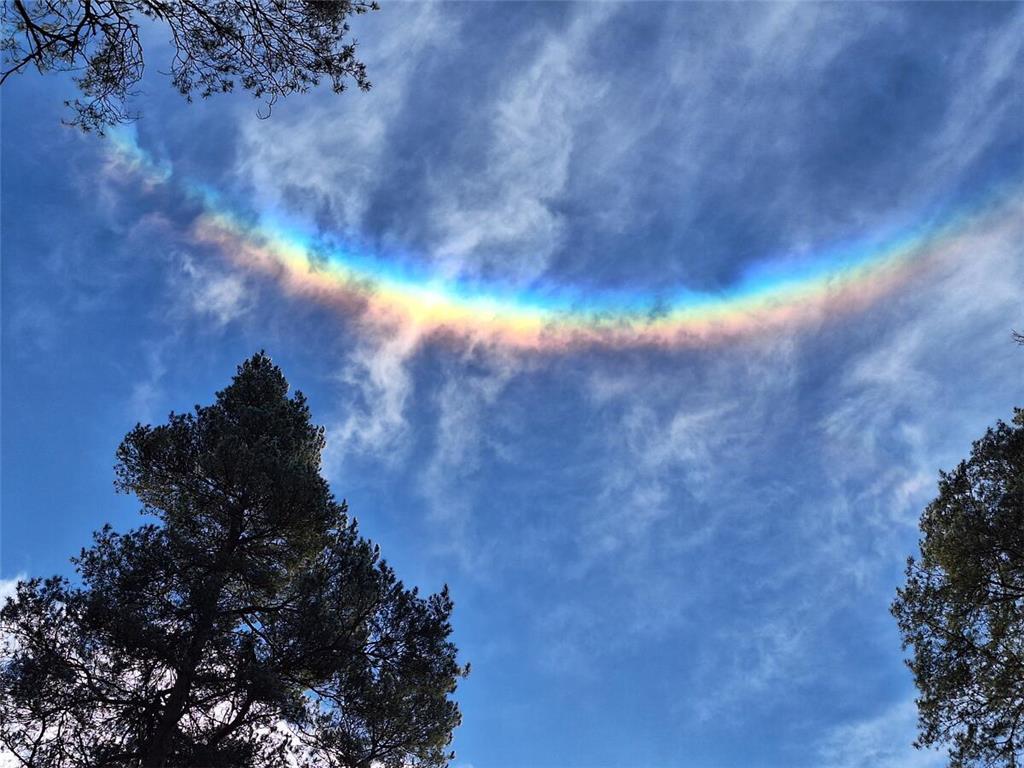 Einen winterlichen Regenbogen hat Andreas Hubert am Montag im Rüstjer Forst abge...