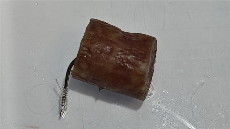 Einer der ausgelegten Köder wurde sichergestellt.