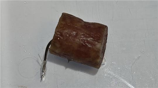 Einer der ausgelegten Köder wurde sichergestellt.