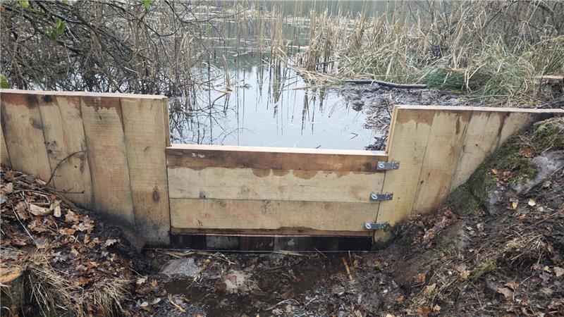 Einer der beiden neuen Staue aus massiven Eichenbohlen für die Heidhofer Teiche.