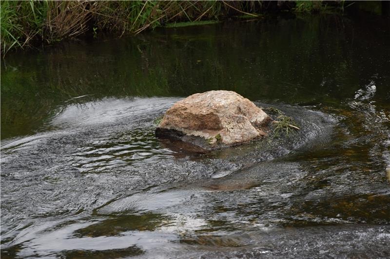 Kritik der Wassersportler: So geht es weiter im Streit um Steine in der Este Einer der in die Este eingebauten Steine bei Daensen. Foto: Sulzyc