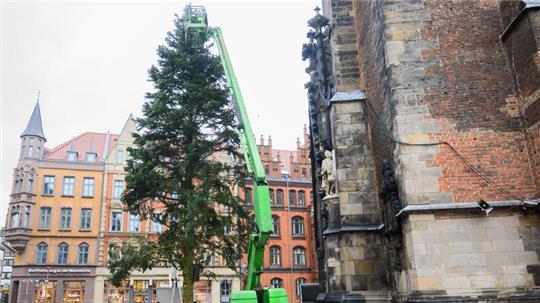 Einer der zentralen Weihnachtsbäume für den Weihnachtsmarkt in Hannover sorgt für Spott und Häme.