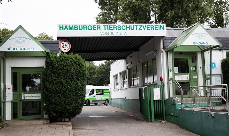 Einfahrt und Haupteingang zum Tierheim an der Süderstraße. Foto: Christian Charisius/dpa