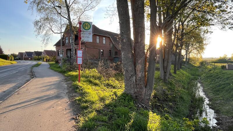 Nach Krisengespräch: Weg frei für Altländer Feuerwehrhaus Einige Bäume sind an der K39 in Königreich gefällt worden, hier wird 2027 das neue Gerätehaus der Ortsfeuerwehr Estebrügge-Königreich stehen. Der Hof wird im Winter 2025/2026 abgerissen.