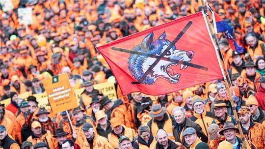 Einige Jägerinnen und Jäger sehen die Ausbreitung des Wolfes in Niedersachsen als großes Problem. 