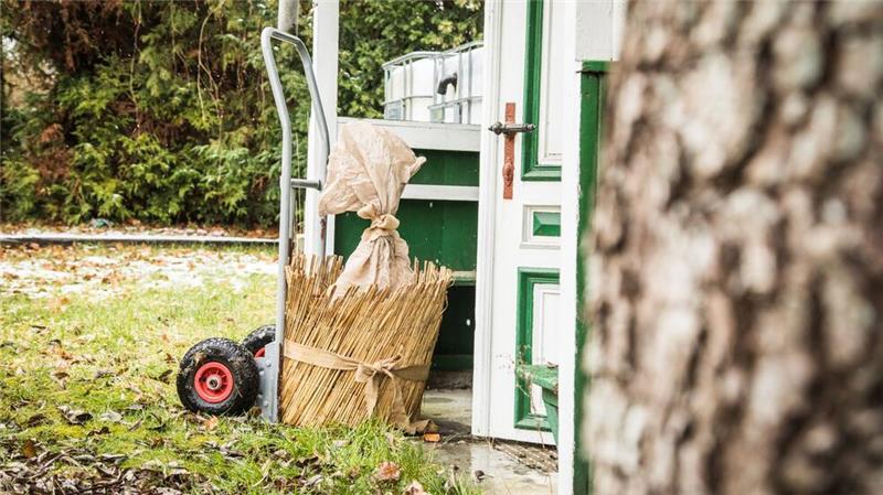Was Sie im Winter für den Garten tun können Einige Pflanzen können den Winter im Freien verbringen, vorausgesetzt sie werden ausreichend geschützt.