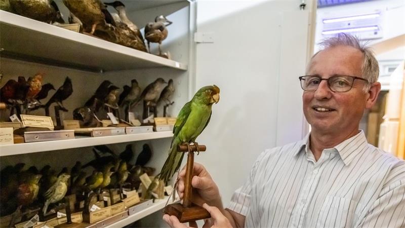 Die ersten und letzten ihrer Art - Kronjuwelen im Museum Einige Tiere der Sammlung - wie der Karolinasittich - sind mittlerweile ausgestorben.