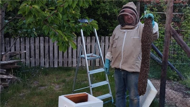 Bei diesem Ahlerstedter dürfen Königinnen alt werden - und machten ihn gesund Einige der Bienen hatten im Garten der Schmolinskis einen besonderen Bienenstock angelegt.