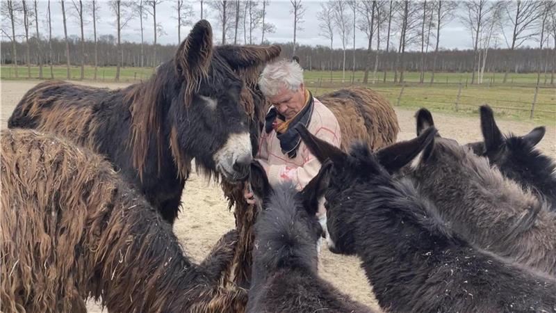 Nachfolger mit Herz gesucht: Gnadenhof „Pferdeoase“ steht vor dem Aus Einmal in die Runde füttern, bitte. Foto: Krabbenhoeft