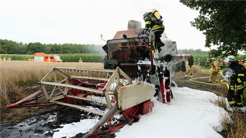 Einsatzkräfte der Feuerwehren Stade-Wiepenkathen und Himmelpforten bei den Löscharbeiten.