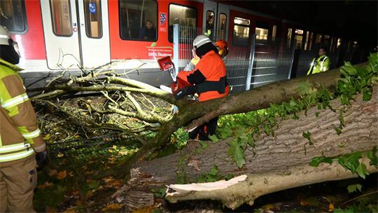 Einsatzkräfte der Ortsfeuerwehr Stade zersägen den Baum, die Passagiere der S5 schauen ihnen bei der Arbeit zu.