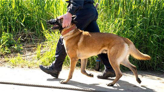 Einsatzkräfte der Polizei sind bei der Suche nach dem vermissten Arian mit Spürhunden an der Oste unterwegs. Der sechs Jahre alte Arian aus Elm, einem Ortsteil von Bremervörde, bleibt weiter vermisst.