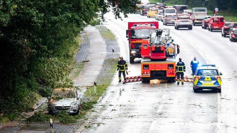 Einsatzkräfte stehen im Stadtteil Lohbrügge an einem Auto, auf das bei einem Unwetter ein Baum gefallen ist. Die Insassen blieben dabei unverletzt.