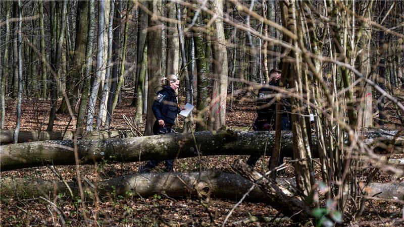 Einsatzkräfte untersuchen den Baum.