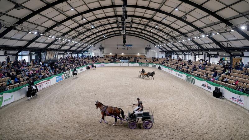 Messe Nordpferd in Neumünster gestartet Einspänner fahren während einer Vorführung in der Halle 1 auf der Messe „Nordpferd“ in den Holstenhallen.