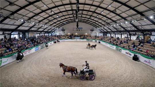 Einspänner fahren während einer Vorführung in der Halle 1 auf der Messe „Nordpferd“ in den Holstenhallen.