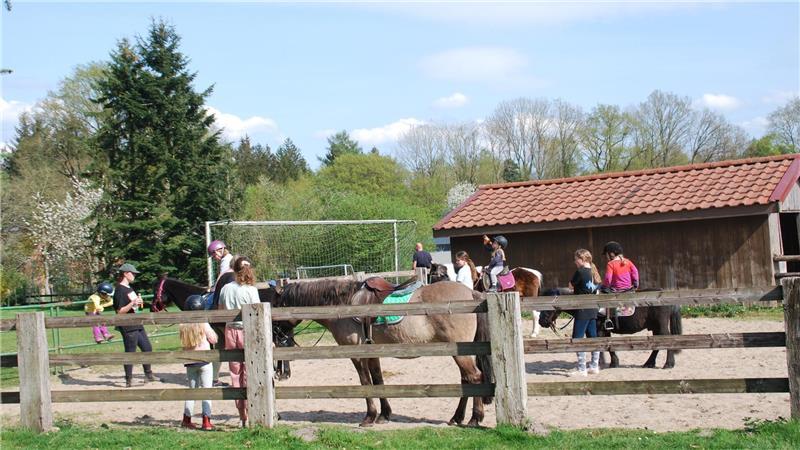 Vom Bauernhof zum Ferienhof: Was die Sauensieker auf Hof Heimberg planen Einst Schweinemast - heute Ponyreiten für Feriengäste.