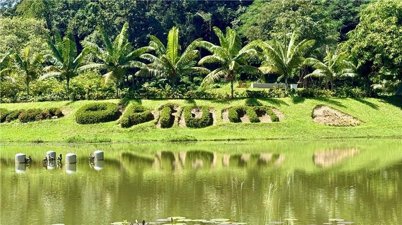 Das neue Goldene Dreieck – vom Opium zur Schatten-Enklave Einst war der Name Goldenes Dreieck ein Synonym für Opiumhandel.