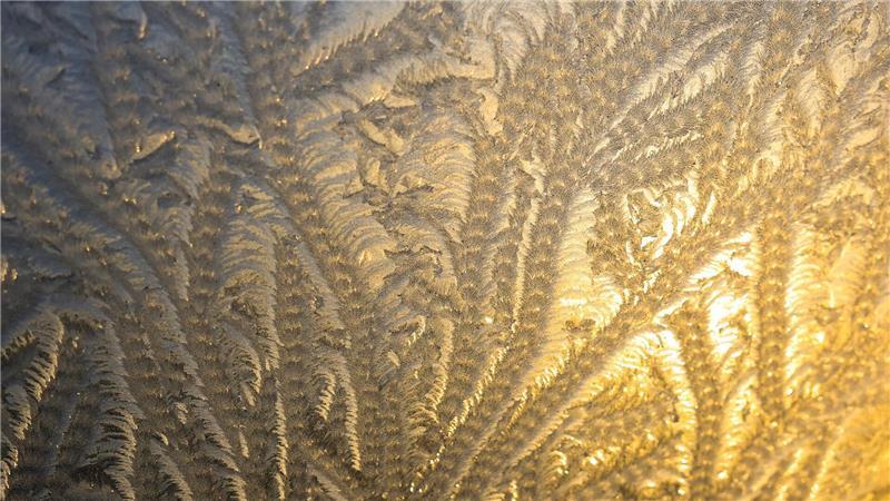 Eisblumen haben sich am Morgen an einem Dachfenster in Leipzig gebildet. 