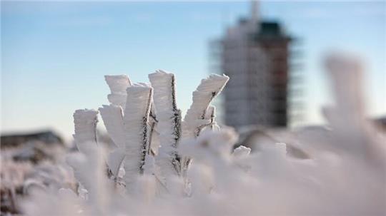Eiskristalle bilden sich bereits an den Gräsern und Pflanzen am Brocken.