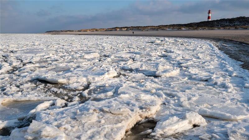 Eisschollen im Wattenmeer wirken wie Hobel, die das Leben vom Boden abrasieren können (Archivbild).