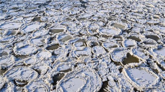 Eisteller auf der Oder