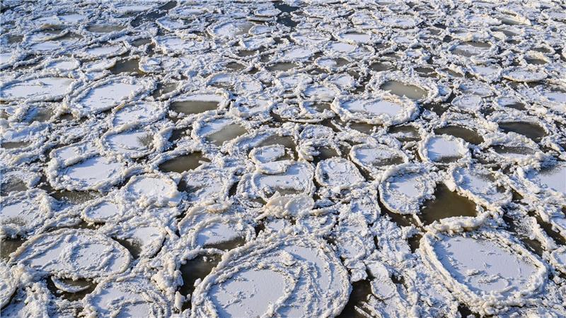 Eisteller auf der Oder