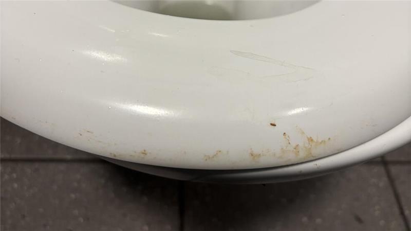 Eklig: Klobrille in der Damentoilette Am Sande