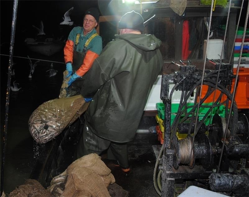 Elbfischer Lothar Buckow (links) und sein Decksmann Dirk Ostmeier holen das Netz mit Stint an Bord .