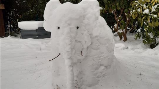 Elefant aus Schnee: Bei Familie Linke wohnt derzeit ein Schneelefant.