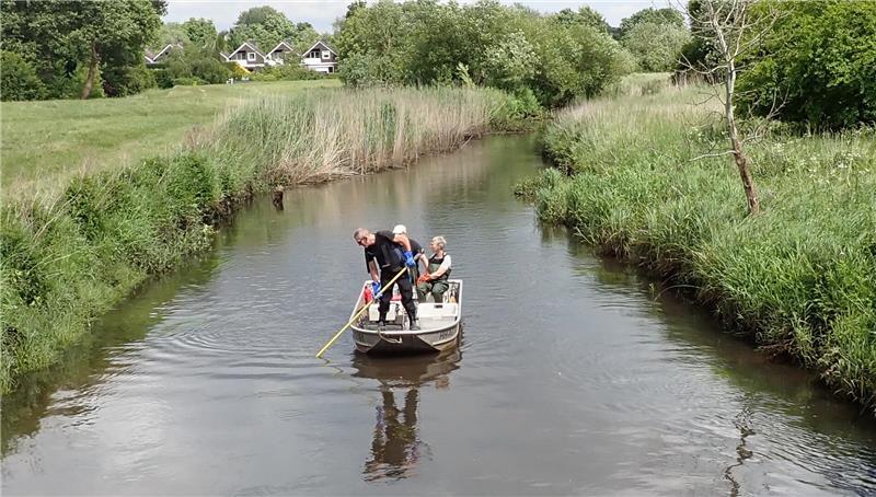 Aue leidet unter Verstopfung: Warum 6500 Kubikmeter Sand rausmüssen Elektrobefischung im Vorfeld der Sandentnahme.